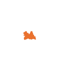 Utrecht